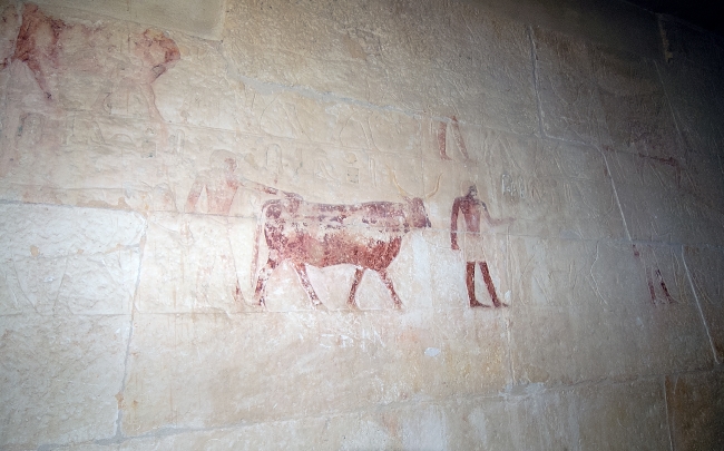 paintings-inside-tomb-step-pyramid-photo-image-1314a