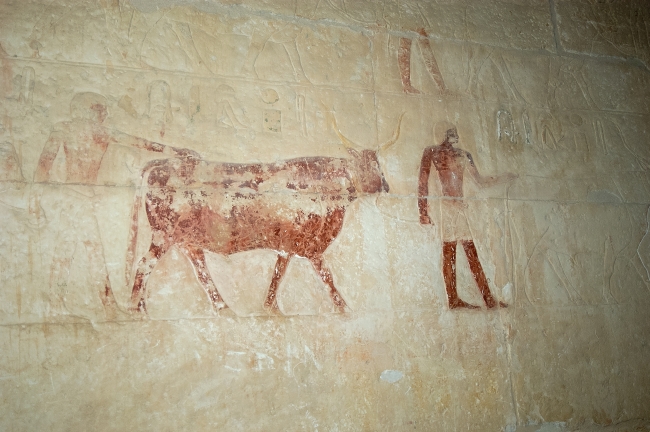 paintings-inside-tomb-step-pyramid-photo-image-1315