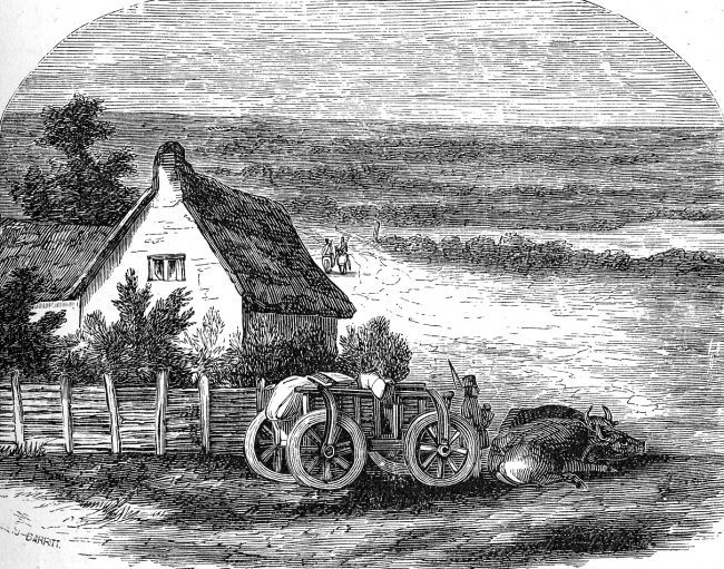 Peasants Farm House Historical Illustration