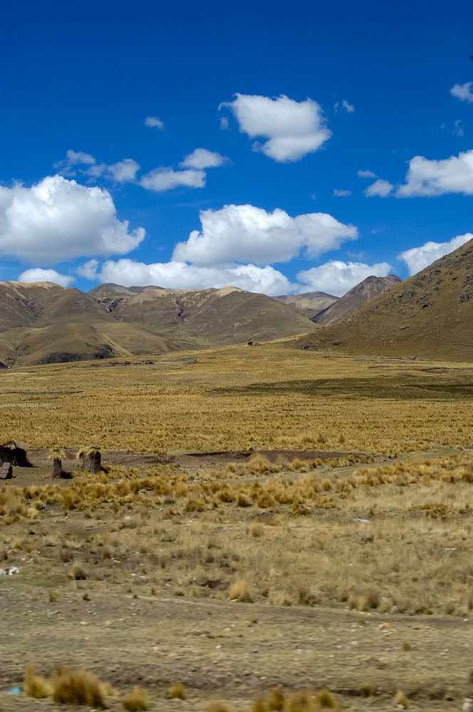peruvian landscape altiplano 001