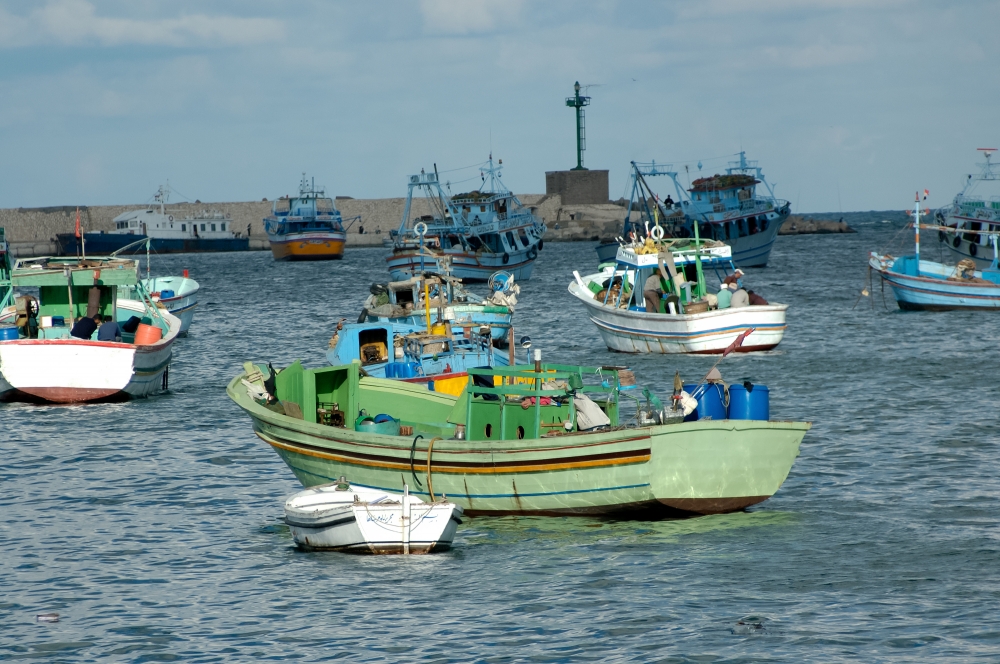 photo boats in harbor alexandria egypt 5279