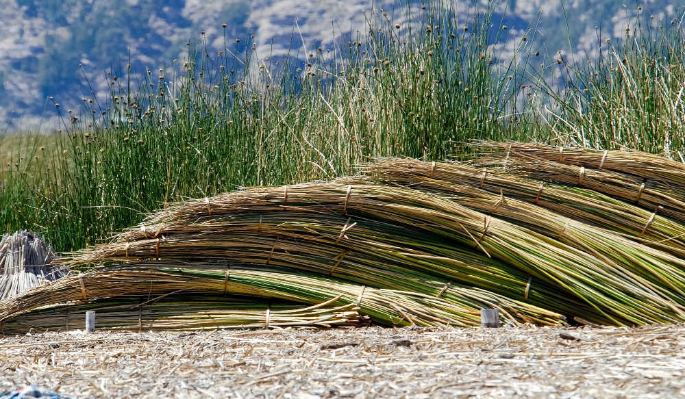 piles of reeds stacked on uros floating islands photo 632c