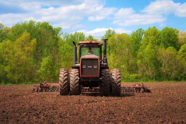 Preparation for planting spring corn