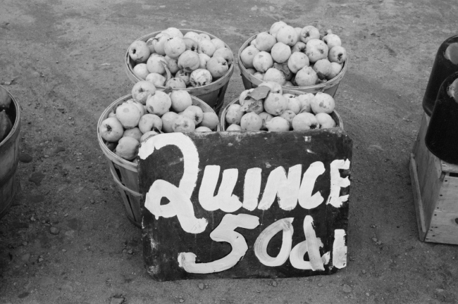 quinces displayed at roadside stand near berlin connecticut