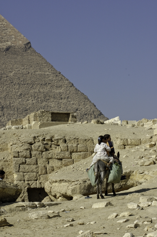 Riding donkey near Pyramids Giza Egypt Photo 5409