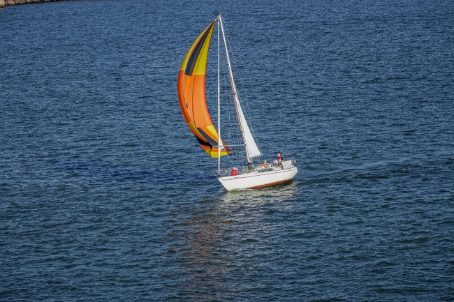 Sailboat Gulf Of Finland Photo