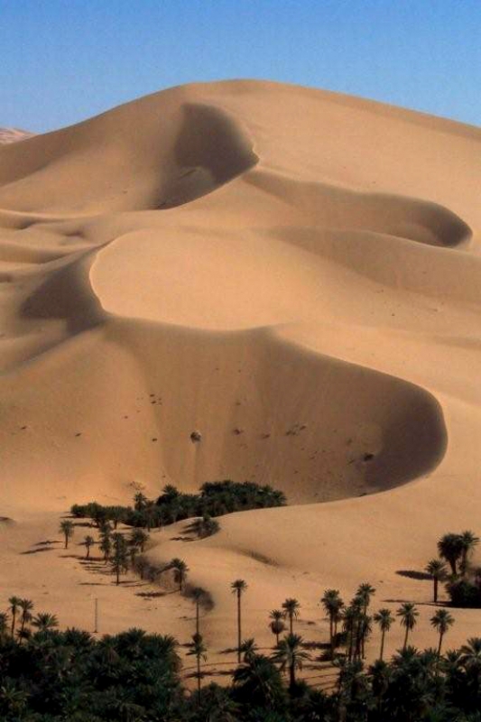 Sand Dunes Algeria