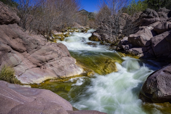 Scenic River in Coconino National Forest Arizona