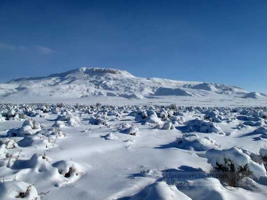 tundra landform
