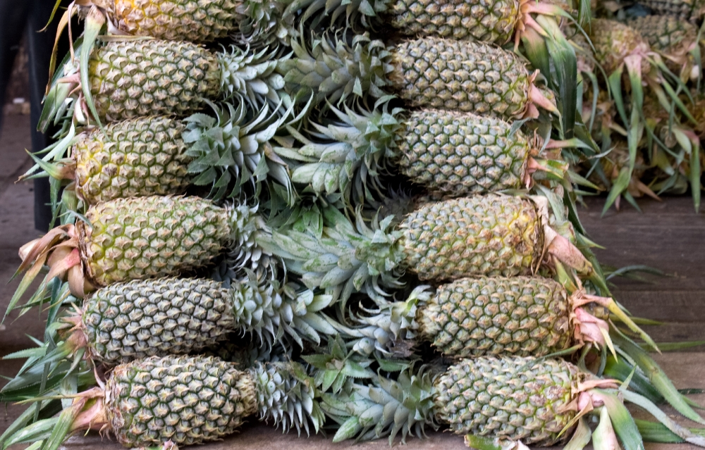 Stack of Pineapples for sale Mumbai India