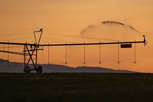 Sunrise pivot irrigation system 2