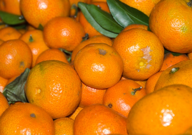 Tangerines for sale in shanghai china