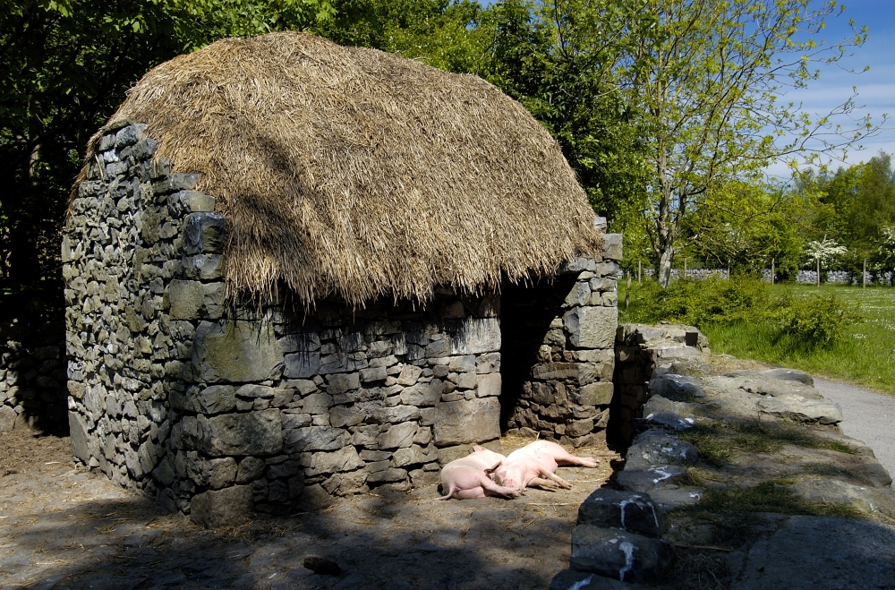 Thatched-roof cottage in Ireland with sleeping pgis