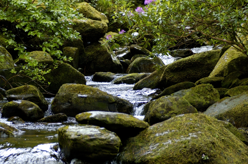 Torc Waterfalls, Killarney National Park