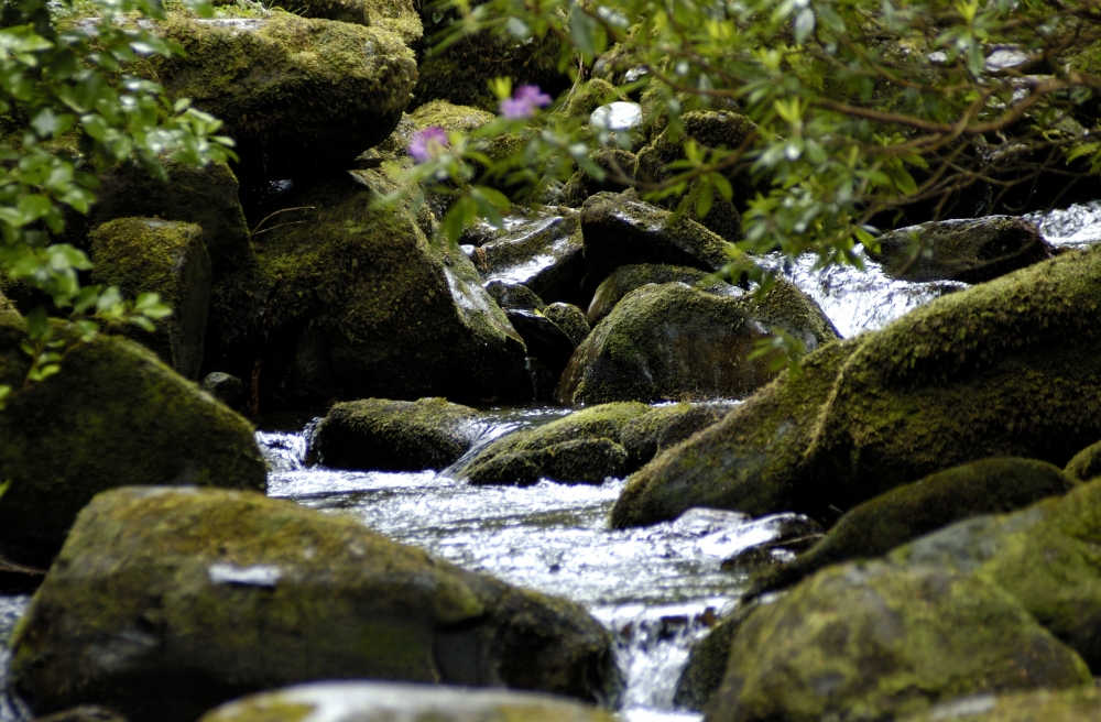 Torc Waterfalls, Killarney National Park