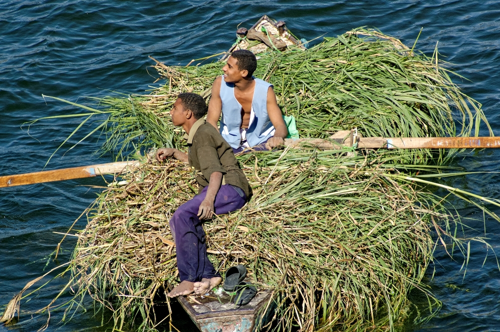 two men on row boat on nile river filled with reeds  edfu_61a