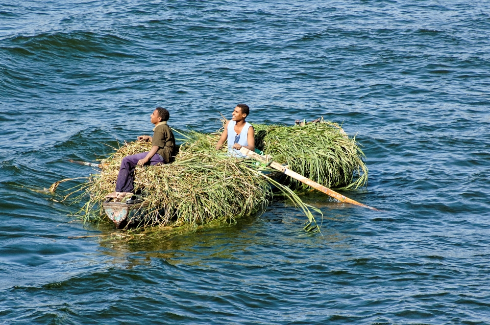 two men on row boat on nile river filled with reeds_6108a