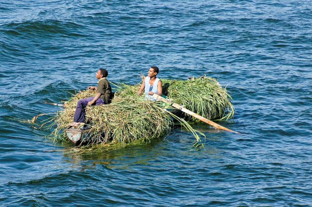 two men on row boat on nile river filled with reeds_6108b