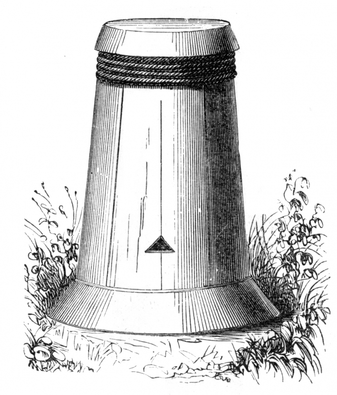 Type of Beehive Illustration