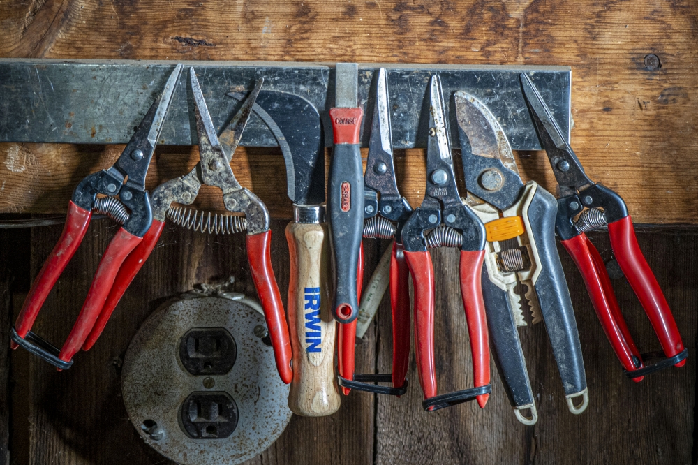 variety of hand tools used at a farm