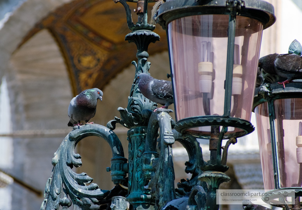 Venice Light Post with Pegeons Photo