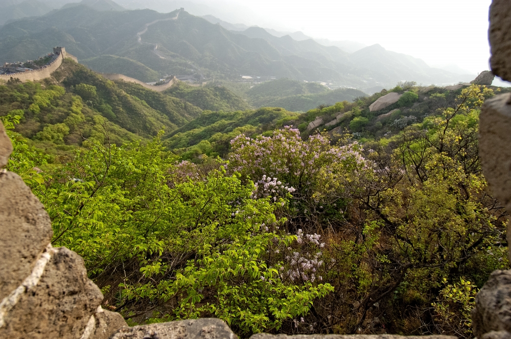 view great wall china photo 6619