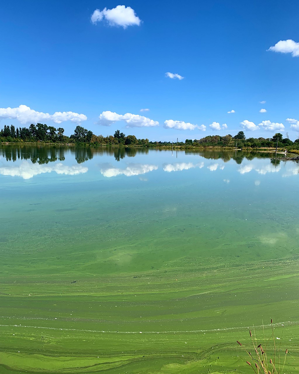 View of lake at Fernhill Natural Treatment Wetlands