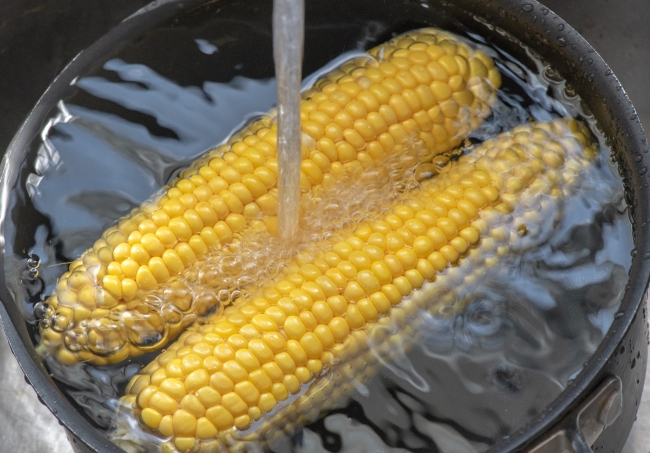 washing fresh yellow corn under running water photo