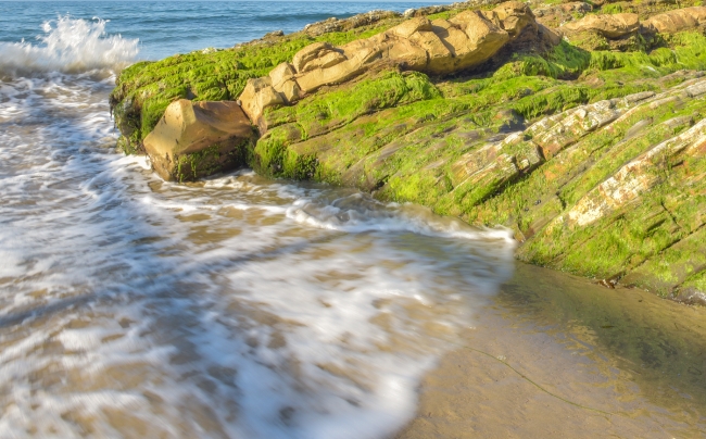 waves breaking on green seaweed covered rocks