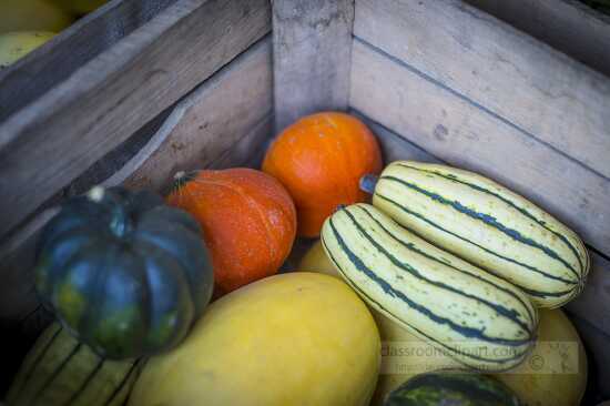 Wooden cart with variety of fall squash