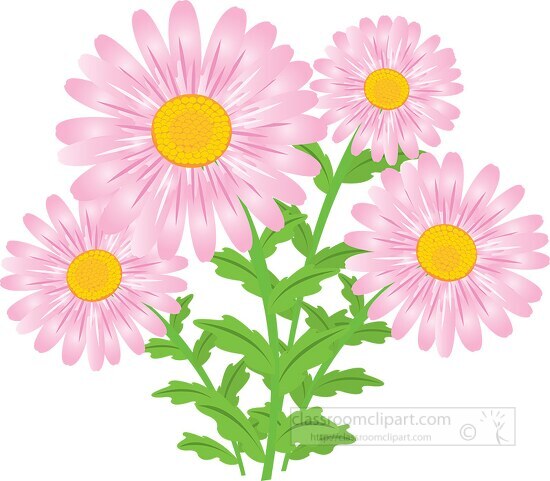 Flower Clipart Pink Daisy
