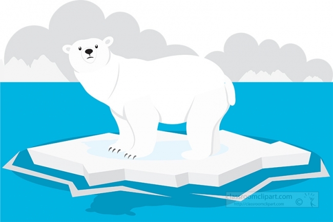 polar bear on artic ice gray color