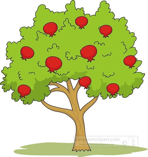 pomegranate tree clipart