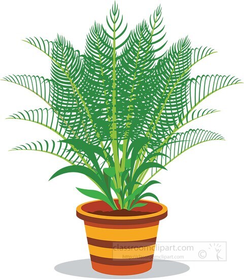 potted areca palm plants clipart