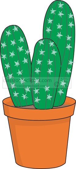 potted cactus plant 04