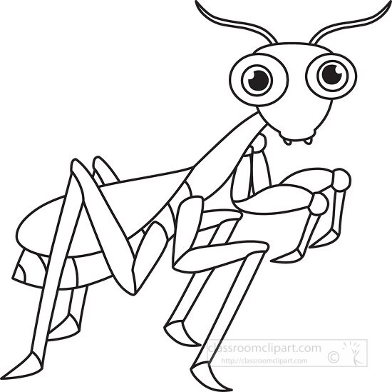 praying mantis insect cartoon black white outline clipart