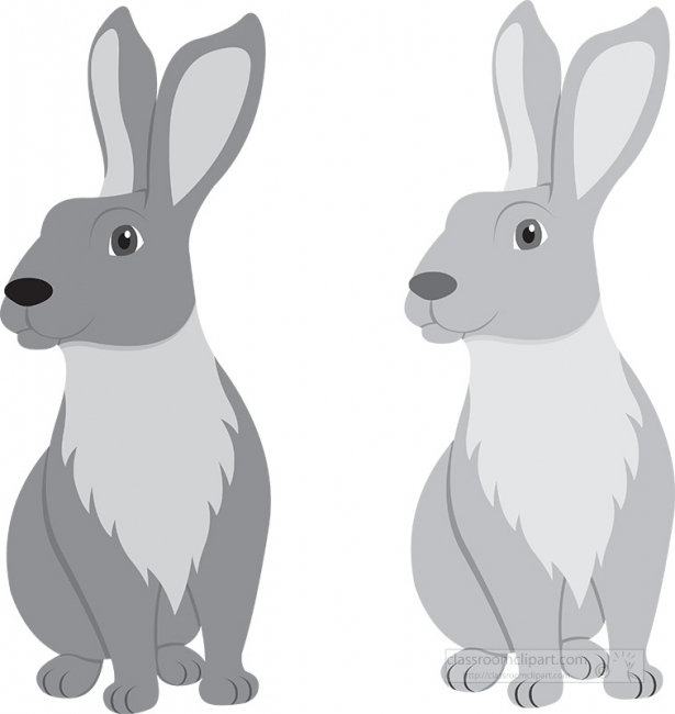 rabbit animal gray clipart