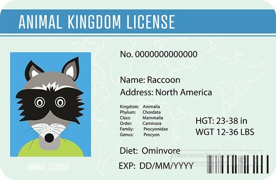 raccoon animal kingdom license clipart