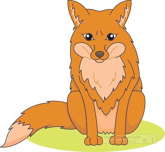red fox paws in front sitting clipart 6125