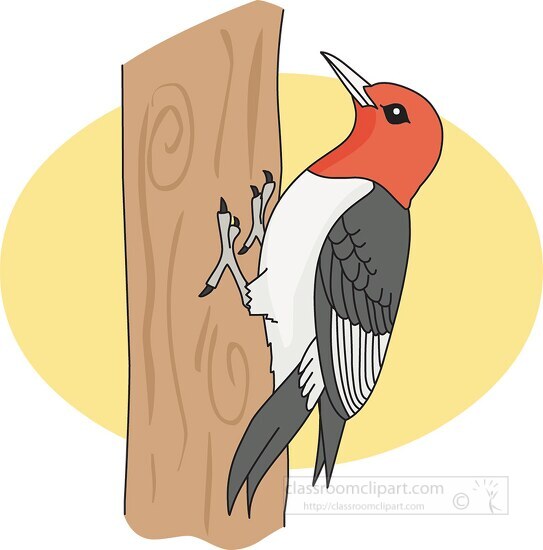 red headed_woodpecker
