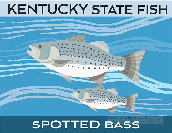 Kentucky State Clipart-rhode island state fish striped bass clipart image