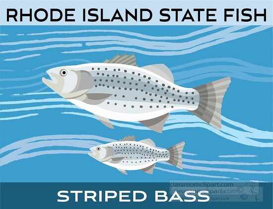rhode island state fish striped bass clipart image