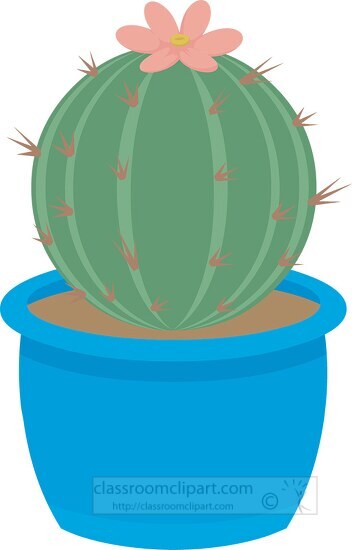 round barrel cactus in blue planter clipart