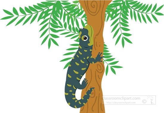 salamander attached to tree branch clipart