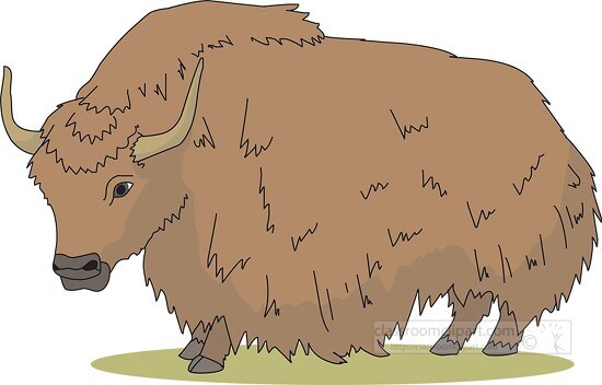 shaggy hair yak animal clipart