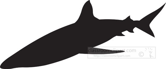 shark sillouette cutout clipart