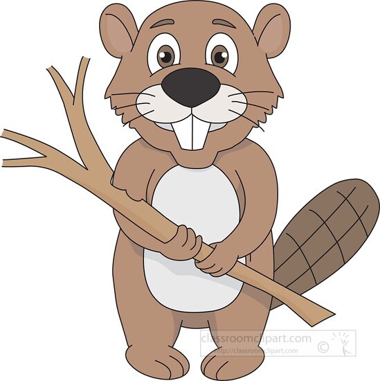 shy beaver holding twig clipart