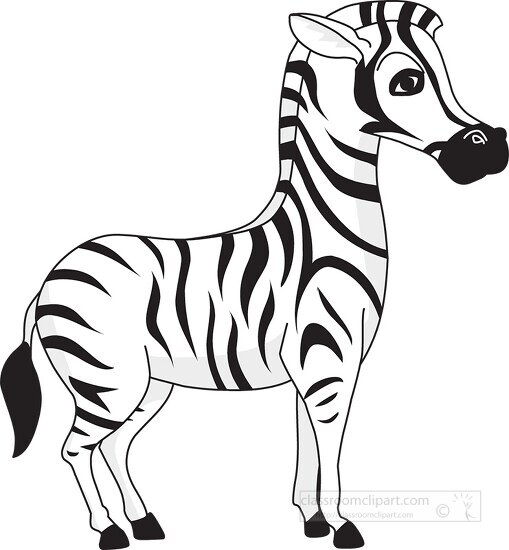 sideview of standing zebra clipart