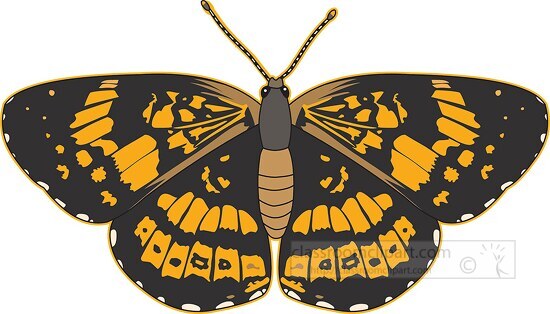 Silver Checkerspot Butterfly Clipart