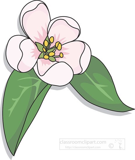 single spring flower clip art
